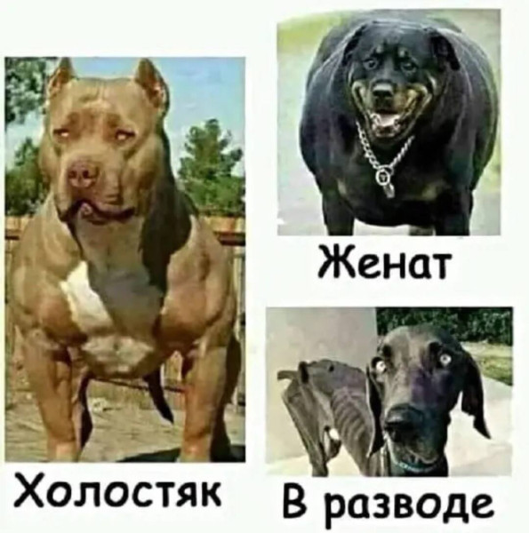 Мем, Смехалка