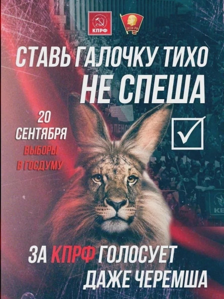 Мем, Bassplayer