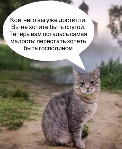 Мем, Diogenes
