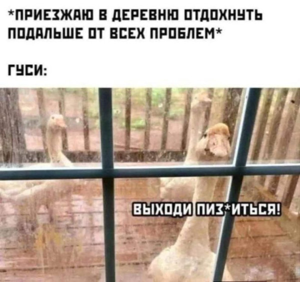 Мем, Смехалка Мем, Смехалка