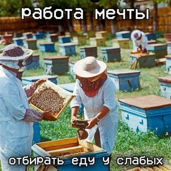 Мем, Bassplayer Мем, Bassplayer