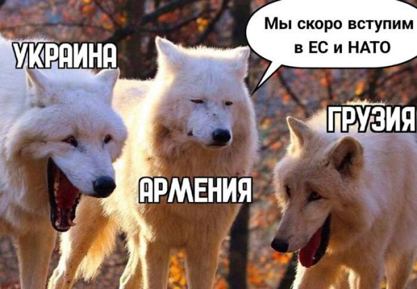 Мем, FDio Мем, FDio
