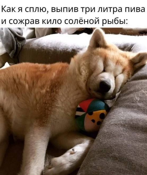 Мем, Ashmedai Мем, Ashmedai