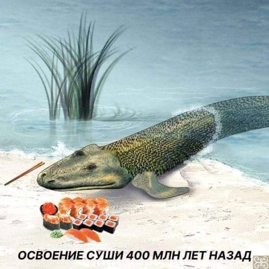Мем, FDio