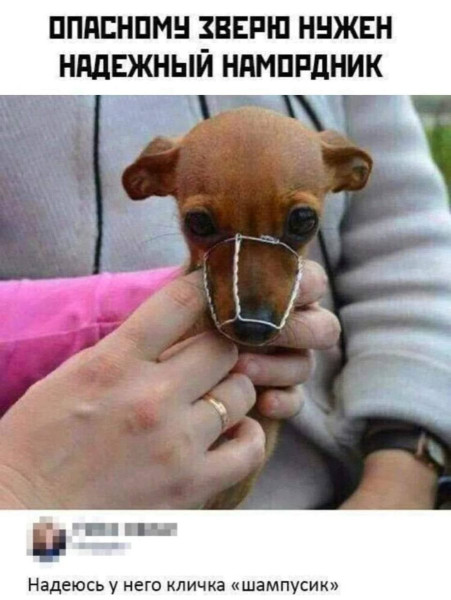 Мем, Hendry Мем, Hendry