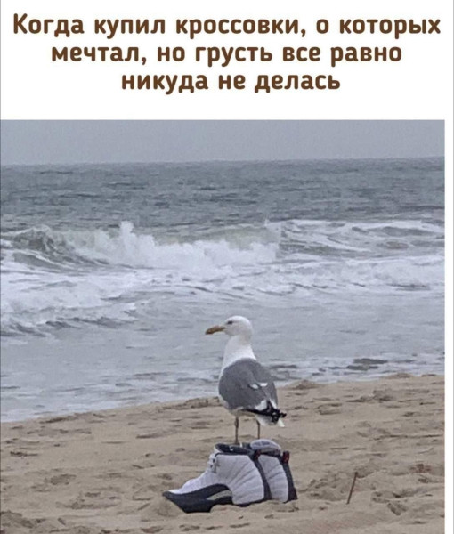 Мем, Ashmedai