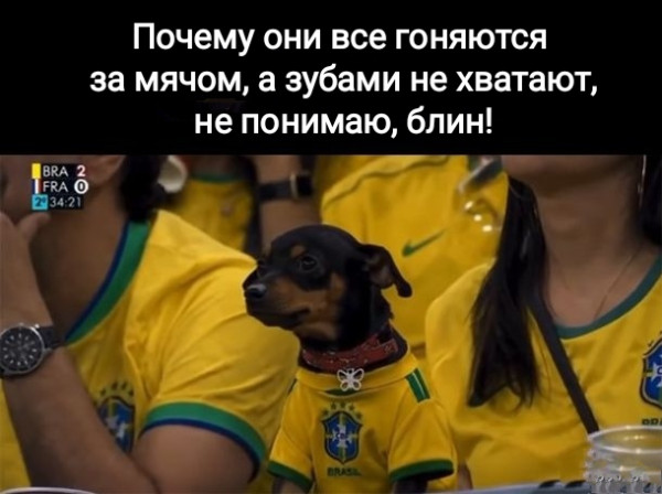 Мем, Рысь