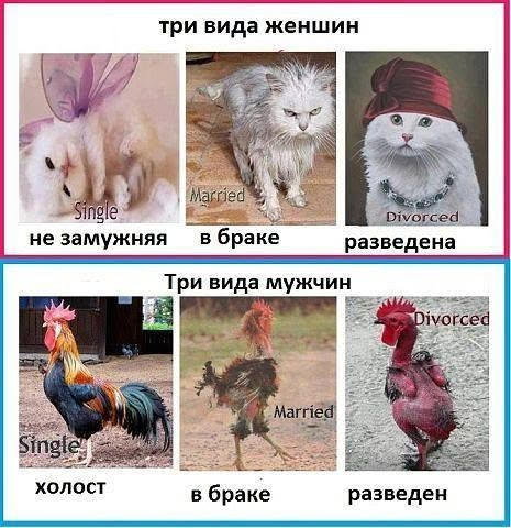 Мем