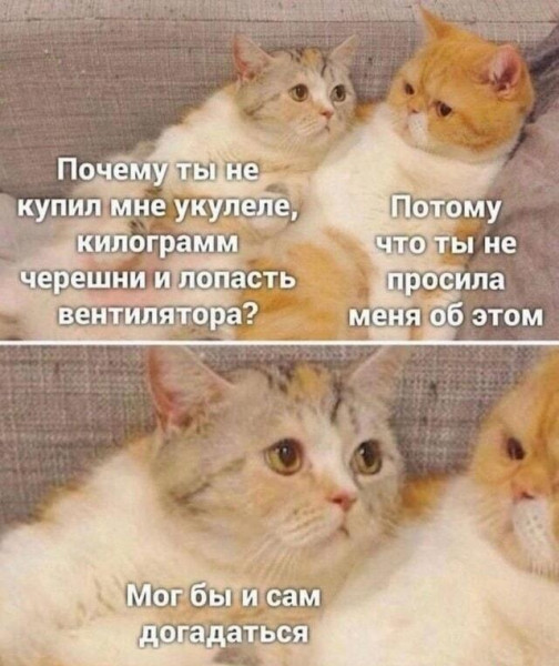 Мем, Антиклептократ