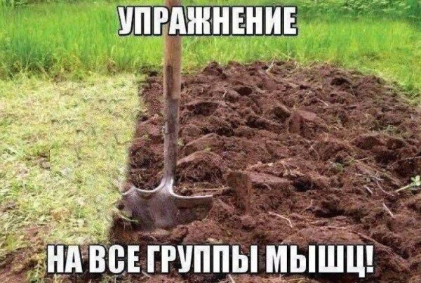 Мем, Антиклептократ