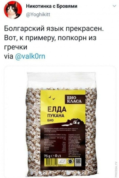 Мем, Ashmedai