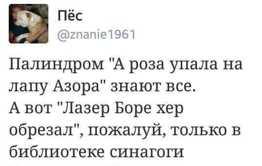Мем, Ashmedai