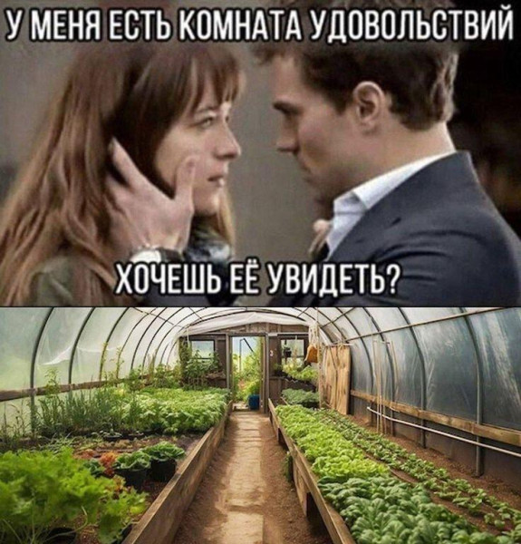 Мем, Антиклептократ