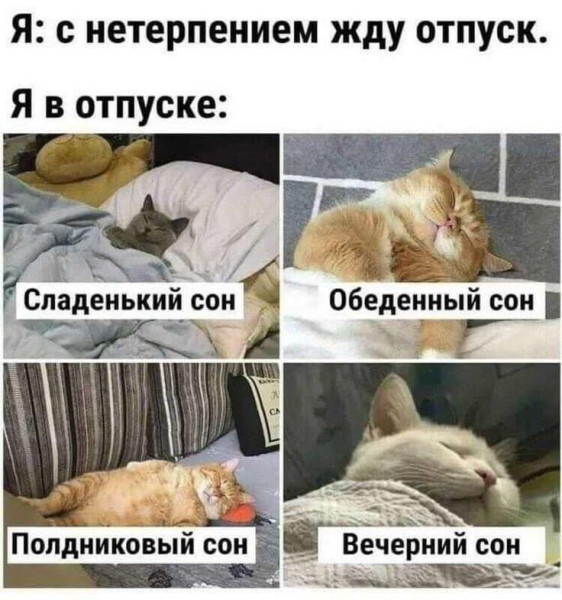 Мем, Антиклептократ