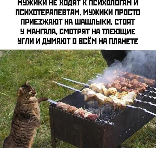 Мем, Антиклептократ Мем, Антиклептократ