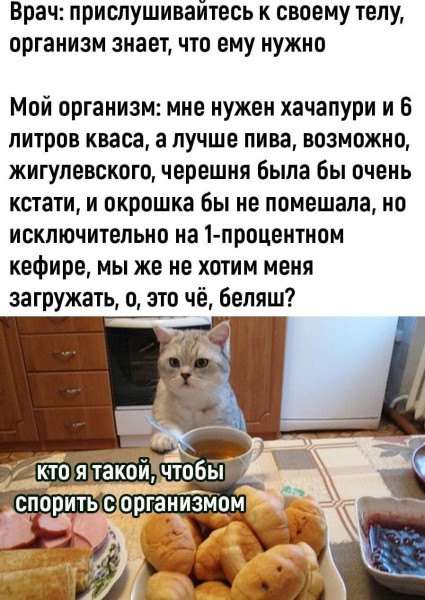 Мем: Диета, Антиклептократ Мем: Диета, Антиклептократ
