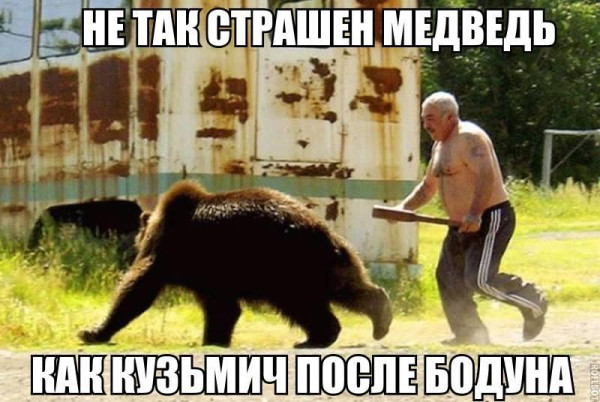 Мем: Мужик и медведь, Антиклептократ Мем: Мужик и медведь, Антиклептократ