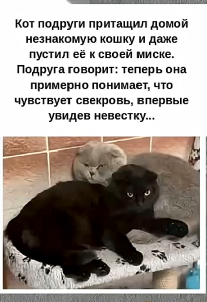 Мем, hop za za