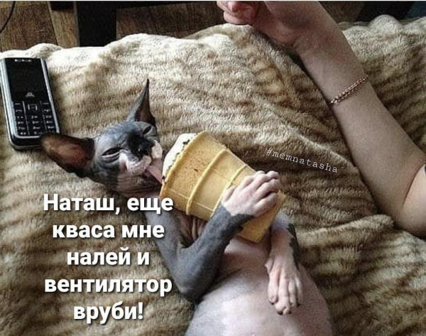 Мем, Антиклептократ