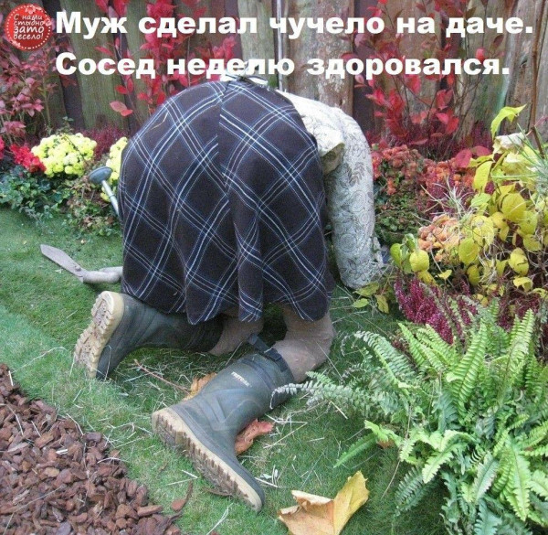Мем, Антиклептократ