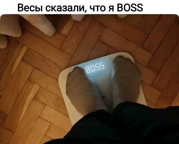 Мем, Рысь