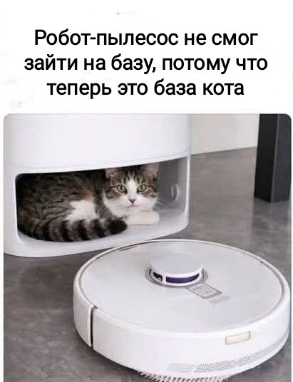 Мем, Рысь