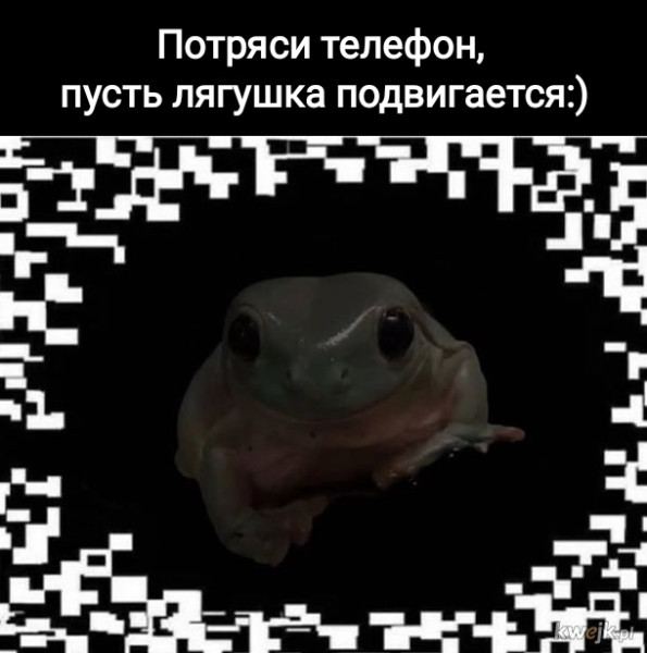 Мем, Рысь