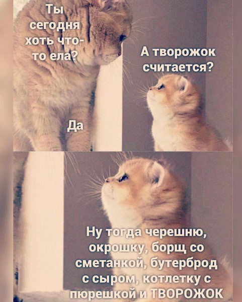 Мем, Антиклептократ Мем, Антиклептократ