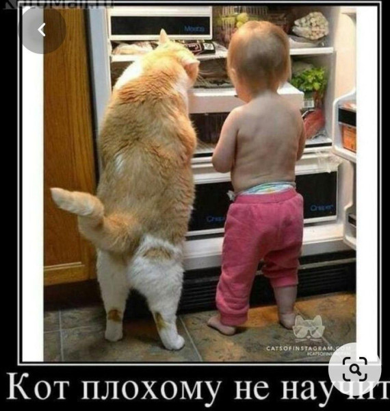 Мем, Антиклептократ Мем, Антиклептократ