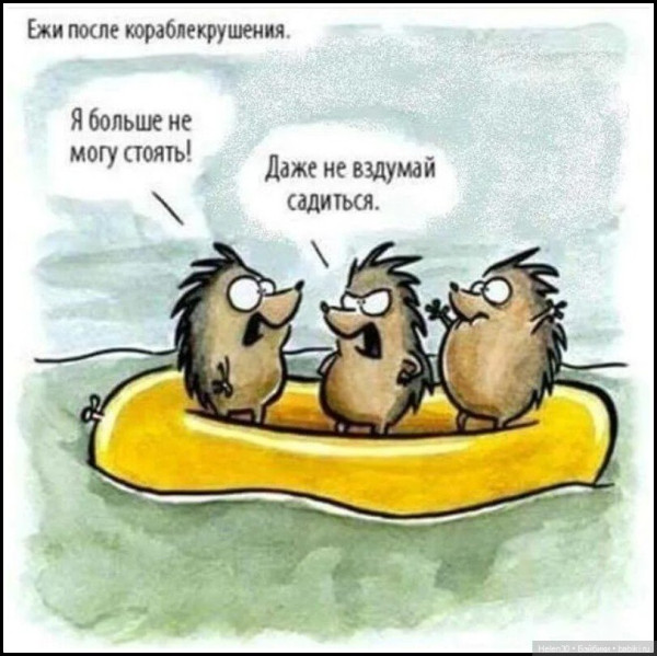 Мем Мем