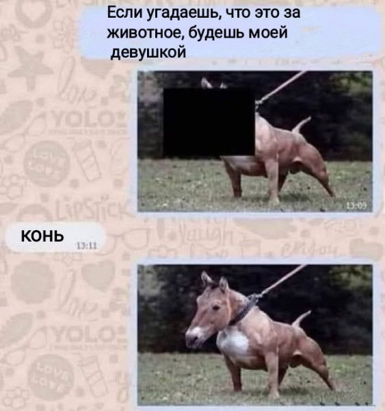 Мем, Рысь Мем, Рысь