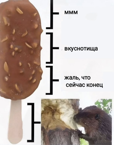 Мем, Рысь Мем, Рысь