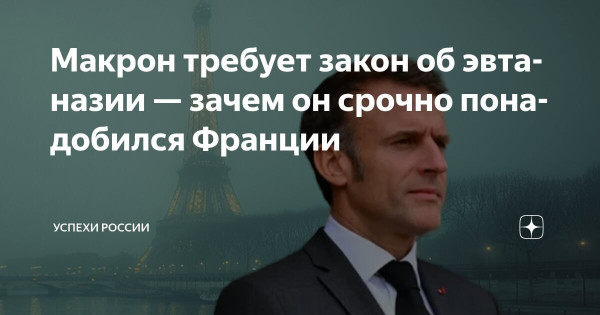 Мем: Когда бабка Макрона прописала ему ещё одного леща, Юрий Небольсин