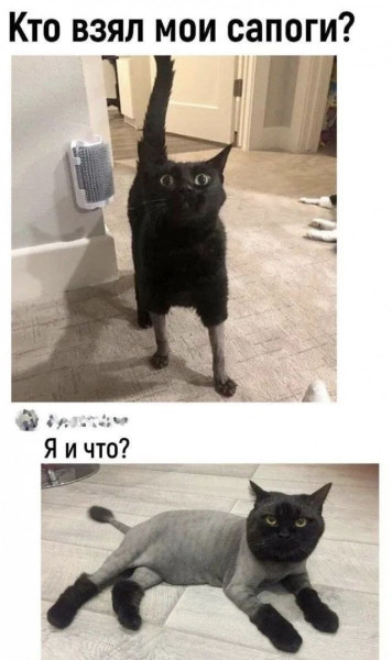 Мем