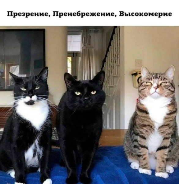 Мем