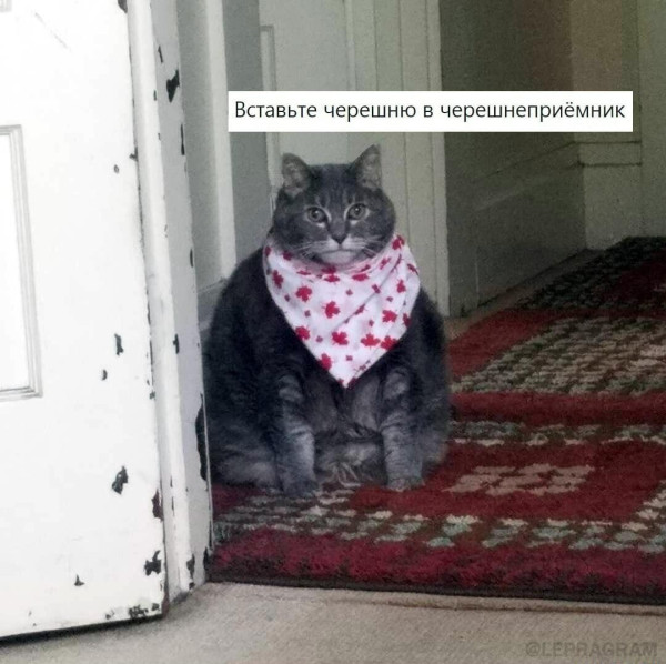 Мем, Антиклептократ