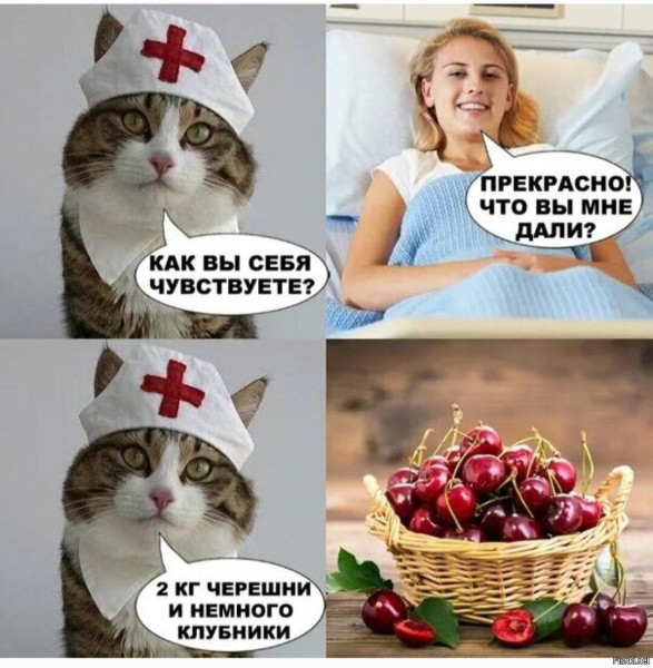 Мем, Антиклептократ