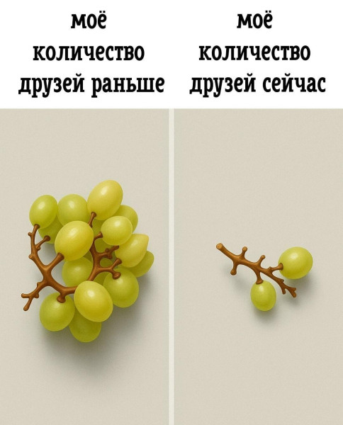 Мем, Антиклептократ