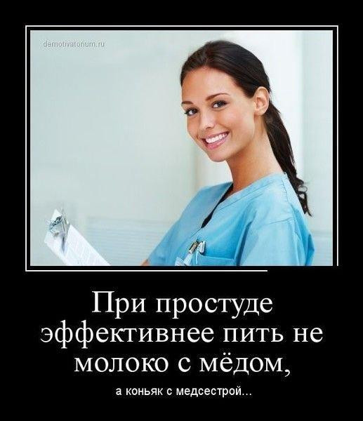 Мем, Антиклептократ