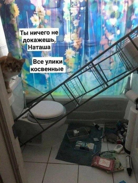 Мем, Антиклептократ