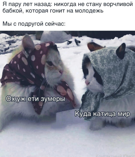 Мем, Антиклептократ Мем, Антиклептократ