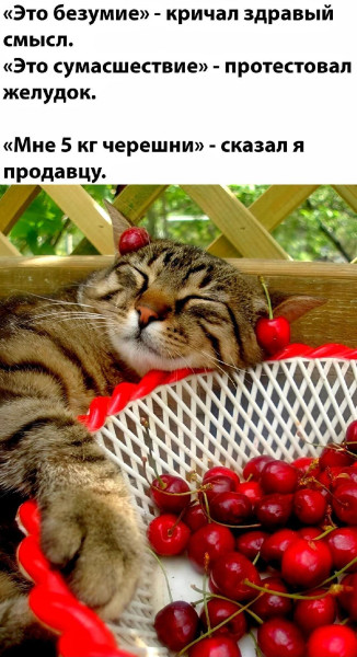 Мем, Антиклептократ Мем, Антиклептократ