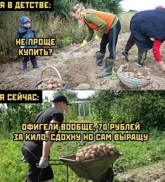 Мем, Антиклептократ Мем, Антиклептократ