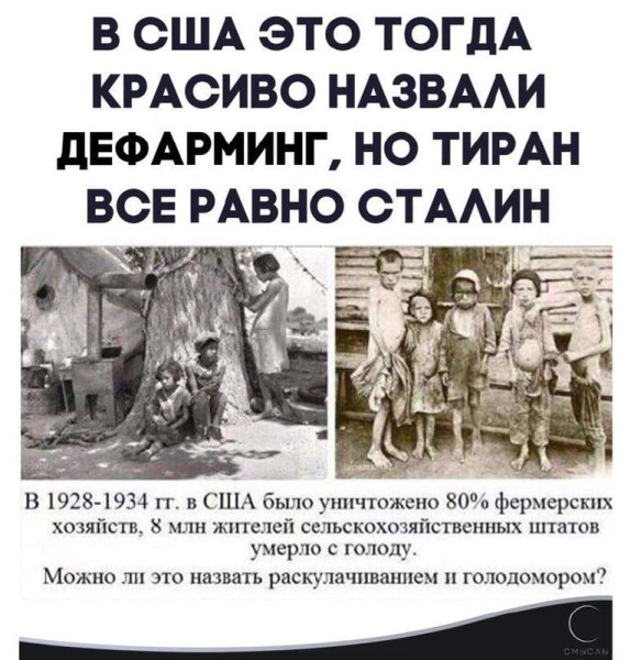 Мем, FDio Мем, FDio