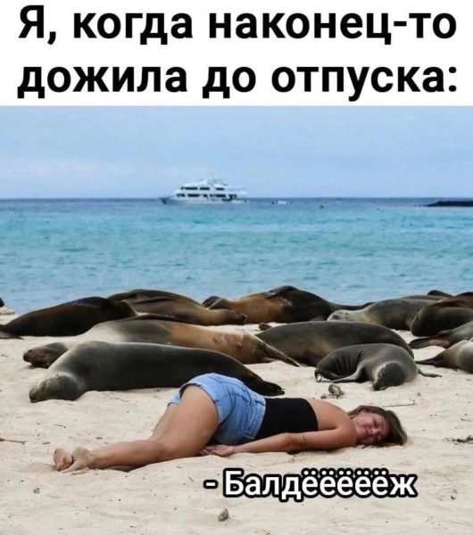 Мем, Антиклептократ Мем, Антиклептократ