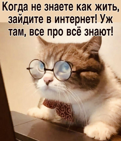 Мем, Антиклептократ Мем, Антиклептократ