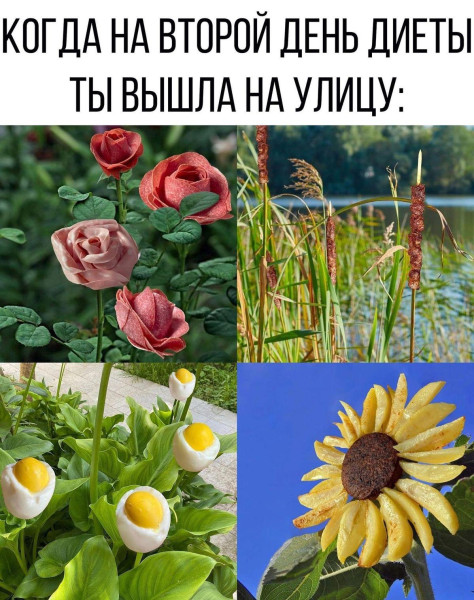 Мем, Антиклептократ Мем, Антиклептократ