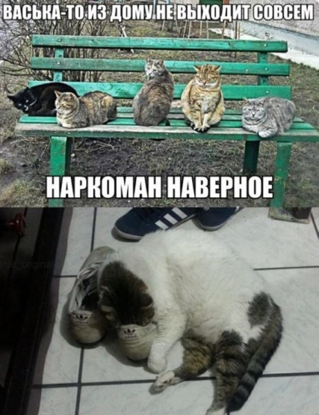 Мем Мем