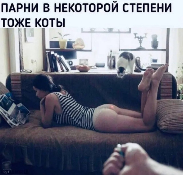 Мем Мем