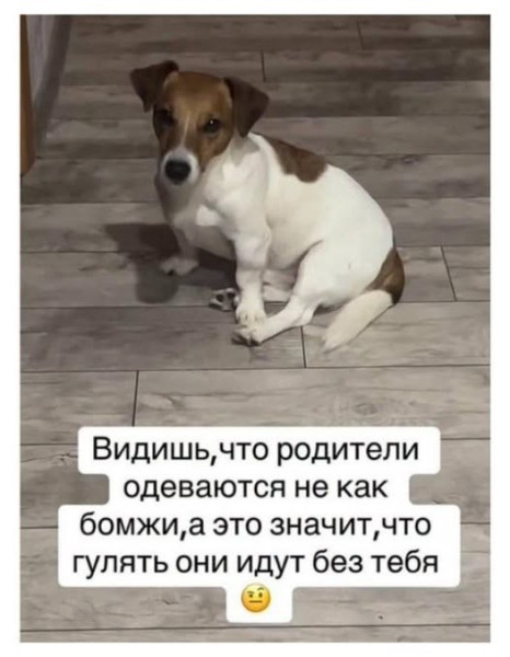 Мем Мем
